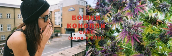 дурь Алзамай