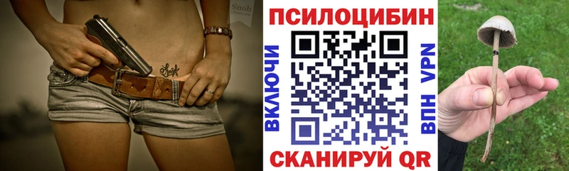 купить наркотики цена  Аргун  Галлюциногенные грибы MAGIC MUSHROOMS 